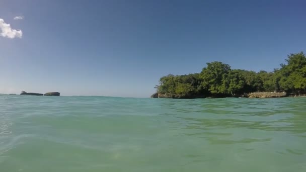 Les gens se relaxent sur la plage dans l'eau — Video