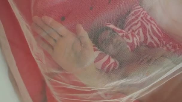 男が寝ていたベッドの蚊帳に触れるに敷設 — ストック動画