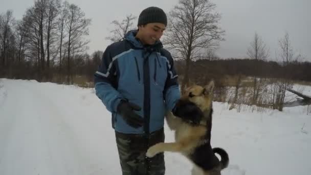 Вівці собака кусає граючи з власником — стокове відео