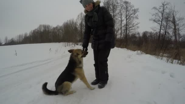 Ovčácký pes dávat packu hraje s ženou — Stock video