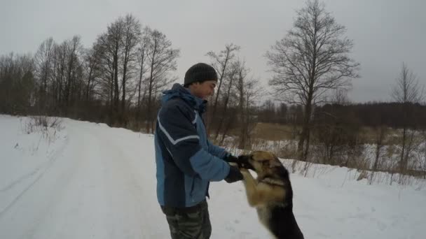 Fårhunden leker med ägaren Dans — Stockvideo