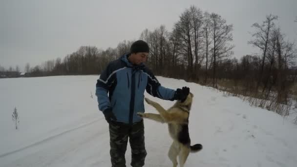 Schäferhund spielt mit Herrchen — Stockvideo