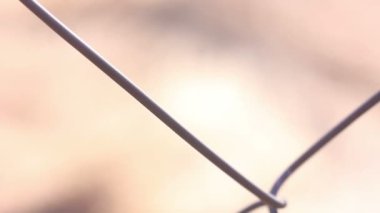 Dikenli tel örgü kapat