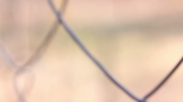 Barbed Wire Fence Close — Stock Video