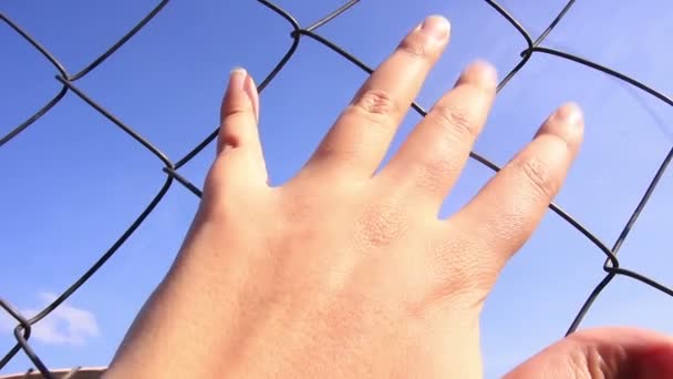 Hand Touching Metal Wire Fence — Stock Video