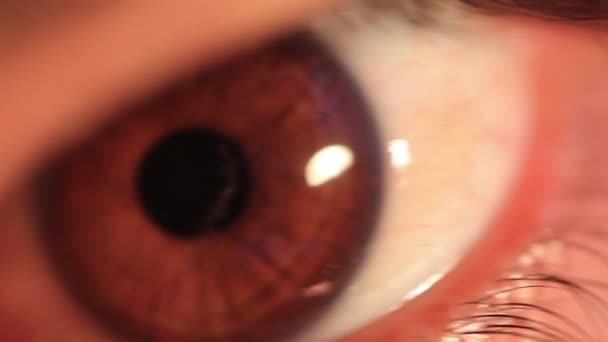 Schielende Augen männliches braunes Auge extreme Nahaufnahme — Stockvideo