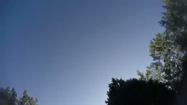 Проходячи через неба з Treestrees промені сонця — стокове відео