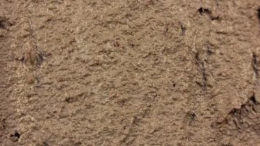 Arazi geliyor kuru Epic manzara Timelapse yakın atış Zoom Out