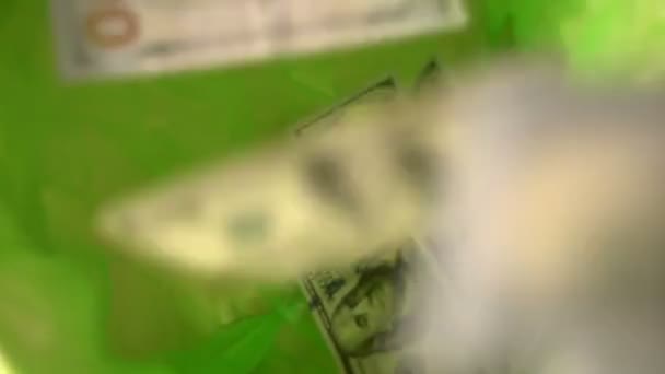Jogando dinheiro fora, dólares Queda em lata de lixo verde cesta, liberdade de finanças, desperdiçando dinheiro — Vídeo de Stock