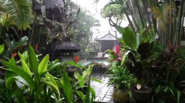 yağmur yağmur mevsimi bali Endonezya, güzel yeşil otel bahçesinde vurdu