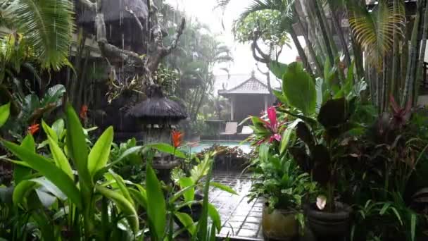 Rain Rainy Season In Bali Indonesia Shot In Beautiful Green Hotel Yard Video By C Gen Oksi Stock Footage 181525134