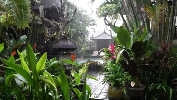 Rain rainy season in bali indonesia, shot in beautiful green hotel yard — Stock Video