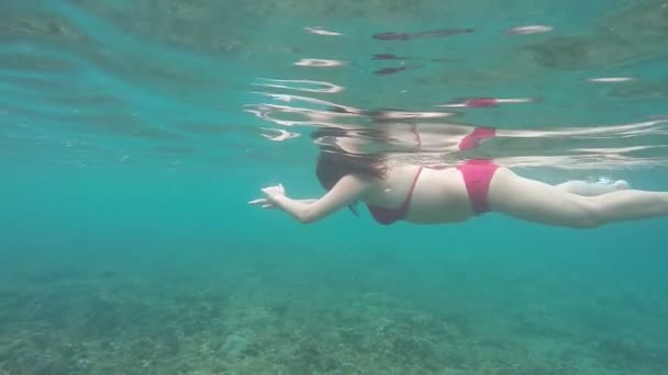 Bella donna in bikini rosso nuotare sott'acqua slow motion — Video Stock