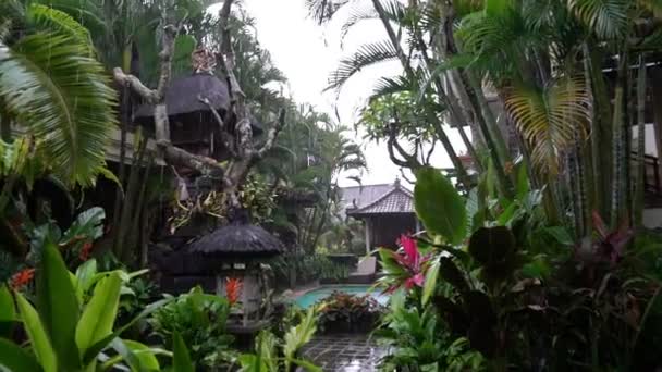 Tropický déšť v asijské zahradě, bali Indonésie, období dešťů. Krásné pozadí exotických tropických rostlin a zeleně v deštném pralese — Stock video