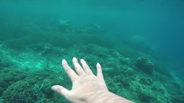Woman swimming underwater raise her hand and touching deep blue ocean point of view — Stock Video