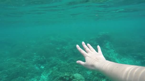 Mulher nadando debaixo d 'água levantar a mão e tocar profundo ponto de vista oceano azul — Vídeo de Stock