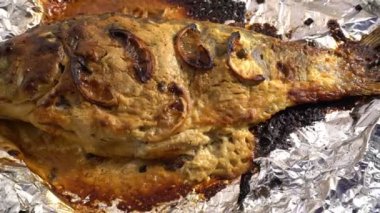 Sazan domates ve sebze ile açık yangın kavrulmuş ve yalanlar üzerine kurulu ile hazır yemek, ızgara balık, ızgara ve Barbekü, sos dışarıda yemek yemek, kırsal gıda yaz