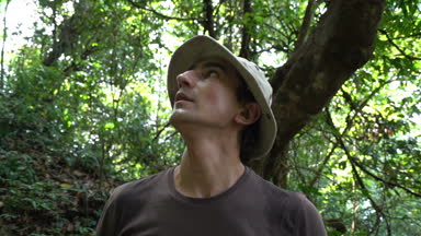 Korkmuş adam orman arıyorsunuz o kayıp ve vahşi hayvan yüksük kötü arama koşulu hayatta kalma eğitimi adrenalin acele aşırı macera kavramı meydan korku hissediyorum çevresinde