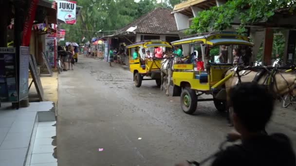 Eco tourism horse wagons on natural ecological islands in indonesia gili trawangan travel — Stock Video