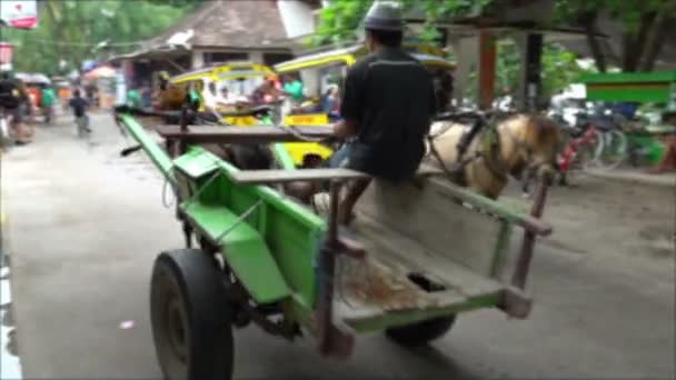 Eco turism häst vagnar på naturliga ekologiska öar i Indonesien gili trawangan resa — Stockvideo