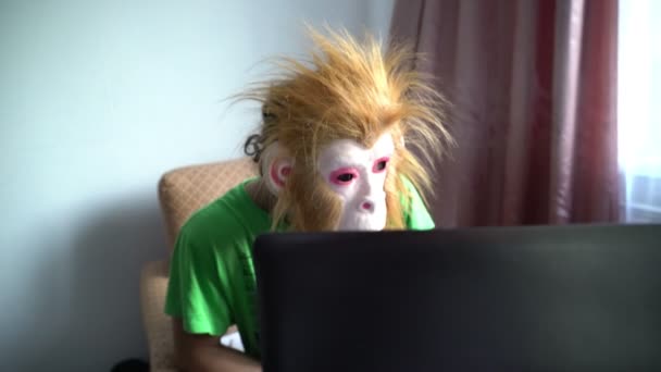 Funny man in monkey mask works behind a computer. Humor surreal. procrastination concept — Stock Video