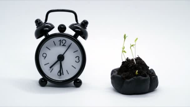 Čas ubíhající koncept Hodiny chůze v blízkosti rostlin roste, Včasný pohyb rychle. — Stock video