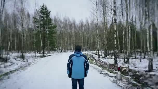 Гіперпроміжок людина рухається лісом, йде геть, зупиняє рух — стокове відео