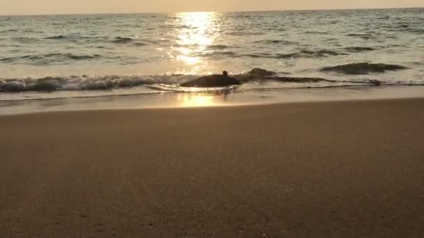 Pobre golfinho jovem deitado morto na praia, litoral indiano, catástrofe ecológica, desastre natural — Vídeo de Stock