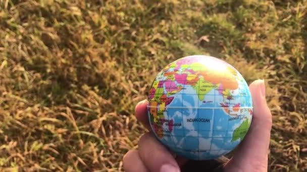 Kvinna som håller den globala jorden i sin hand, mot gult gräs, ekologi koncept, mänsklig påverkan, spara — Stockvideo
