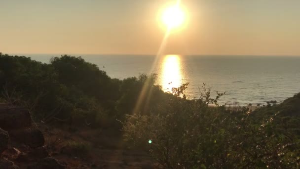 Indiai tengerpart goa kilátás felülről, naplemente, gyönyörű strand — Stock videók