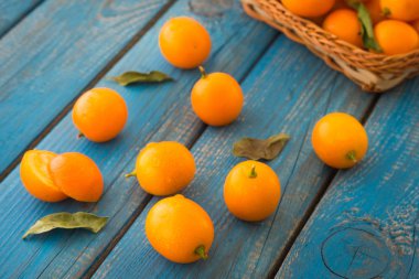 Cumquats, kumquats veya yeşil yaprakları ile cüce vahşi portakal