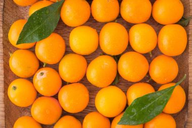 Turuncu cumquats veya yeşil yaprakları ile kumquats