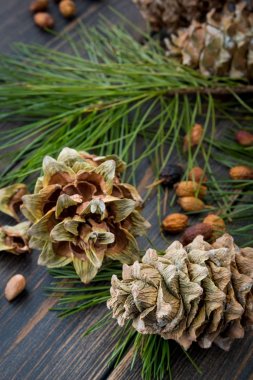 Reçineli Aşurelik çam kozalakları çam fıstığı, iğneler ve çam kepek