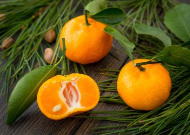 Turuncu clementine mandalina yeşil yaprakları ve conife ile dilimlenmiş