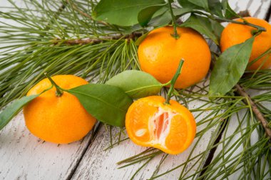 Turuncu clementine mandalina yeşil yaprakları ve conife ile dilimlenmiş