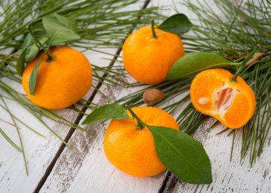 Olgun turuncu clementine mandalina yeşil yaprakları ve conifero ile