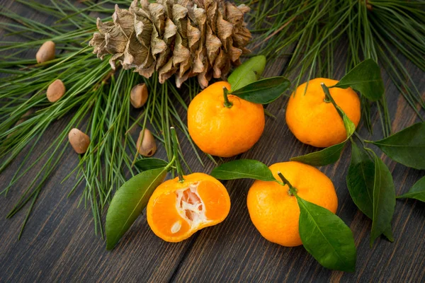 Mandarines clémentine orange fraîche avec branche d'aiguille de conifères un — Photo