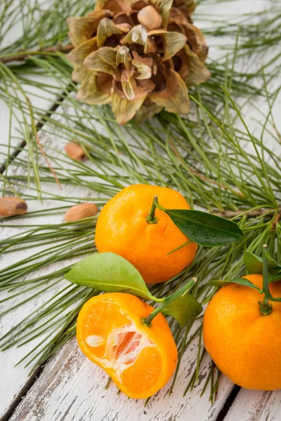 Mandarines clémentine orange fraîche aux feuilles vertes et aux conifères — Photo