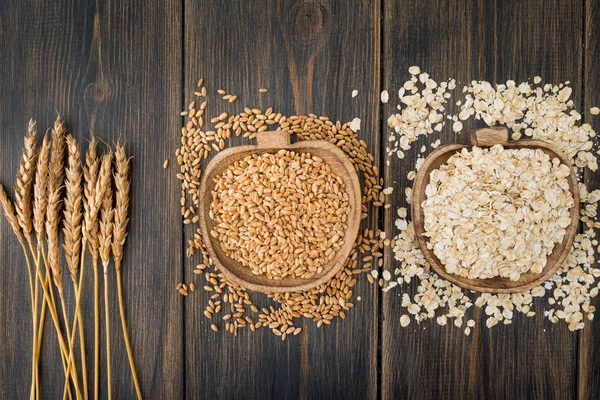 Oat spike herbs or spikelets, oat bunting cereals and oatmeal fl — Stock Photo, Image