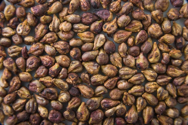 Üzüm tohum doku deseninin 