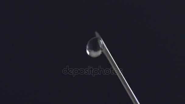 Extreme macro of Syringe needle dripping — Stock Video