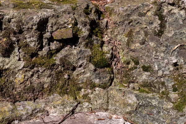 Stone wall with moss — Stock Photo, Image