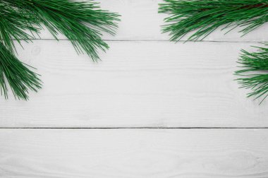 Beyaz ahşap antika arka plan üzerinde şube Noel ağacı