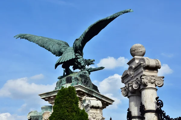 Turul, symbolem Maďarska, proti modré obloze — Stock fotografie