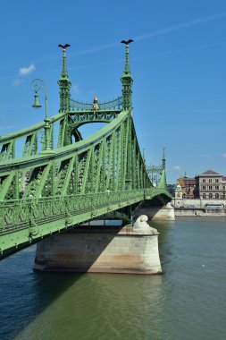 Budapeşte 'de özgürlük köprüsü