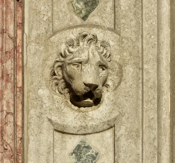 Szent Márk-oroszlán fej gótikus portál — Stock Fotó