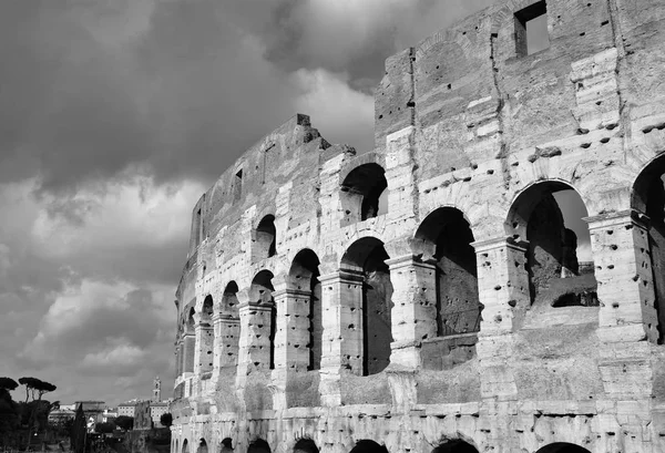 Colosseum i Rom (svartvit) — Stockfoto