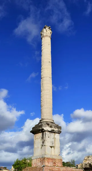 Columna de Focas en Roma — Foto de Stock