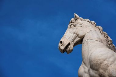 At heykeli Capitoline Tepesi üzerinde