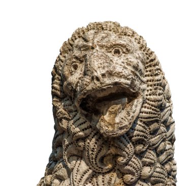 Lucca vahşi aslan kafasından